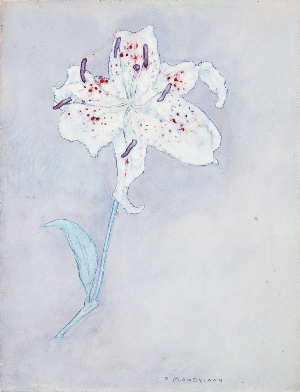 Lily, ca 1920-25 (akvarell på papper) av Piet Mondrian