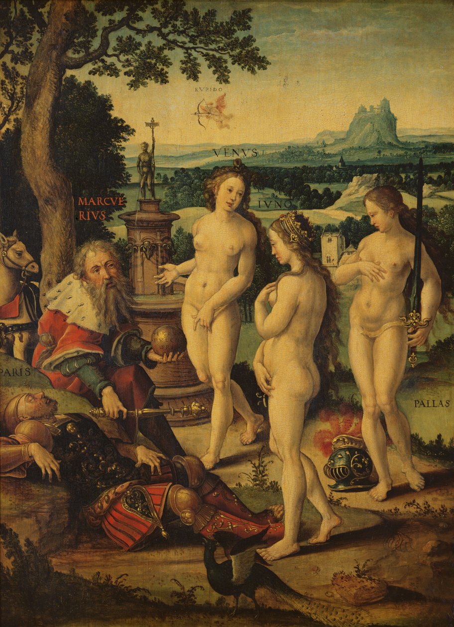 Drömmen om Paris av Pieter Coecke van Aelst