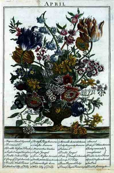 April, från The Flower Garden Visas av Robert Furber (c.1674-1756), graverad av James Smith, pub. 1732 (se även 11109) av Pieter after Casteels