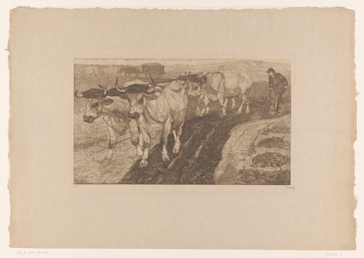 Plöjer oxar av Pieter Dupont (signed by artist)