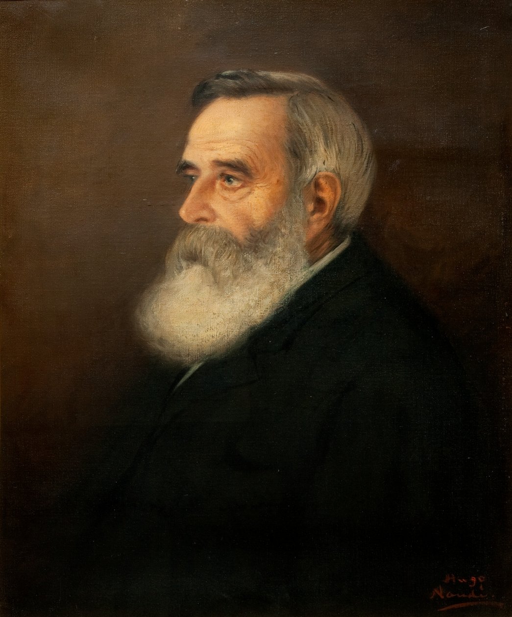 Dr Brown av Pieter Hugo Naudé