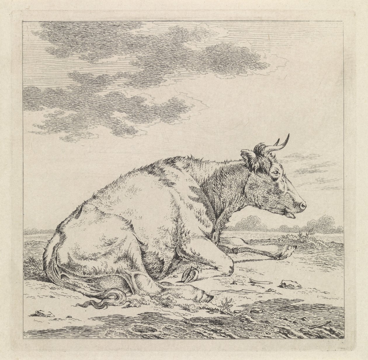 Liggande ko, till höger av Pieter Janson