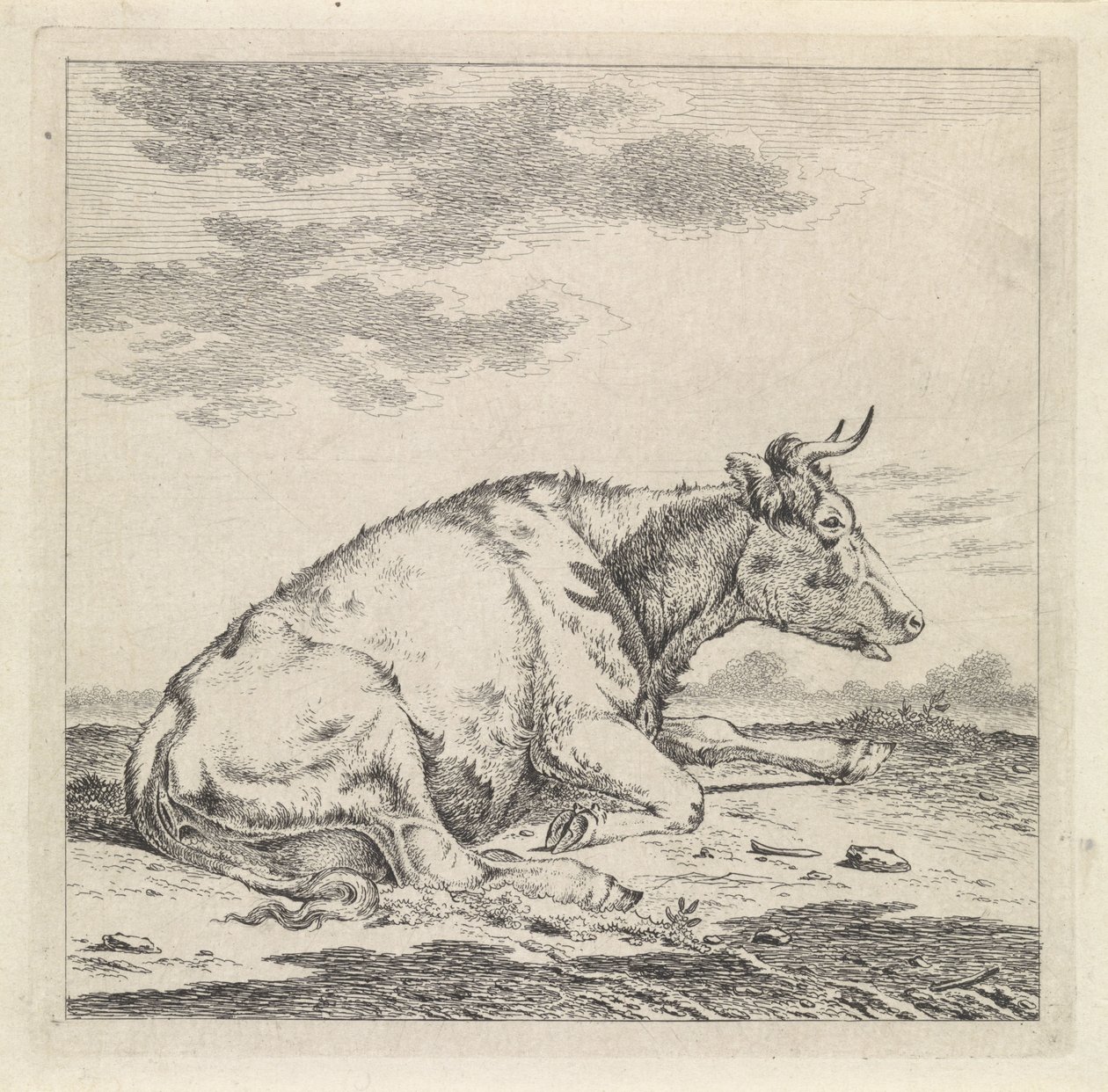 Liggande ko, till höger av Pieter Janson