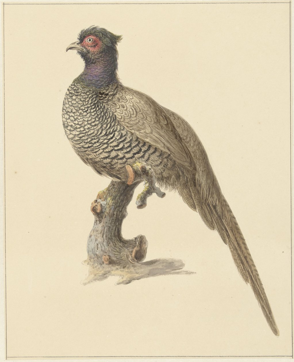 Jagar fasan av Pieter Pietersz. Barbiers