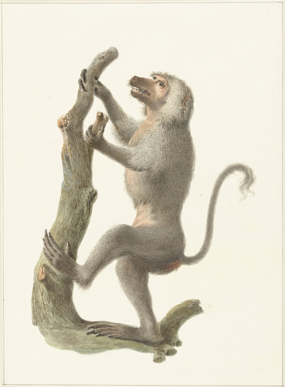 mantelbabian av Pieter Pietersz. Barbiers