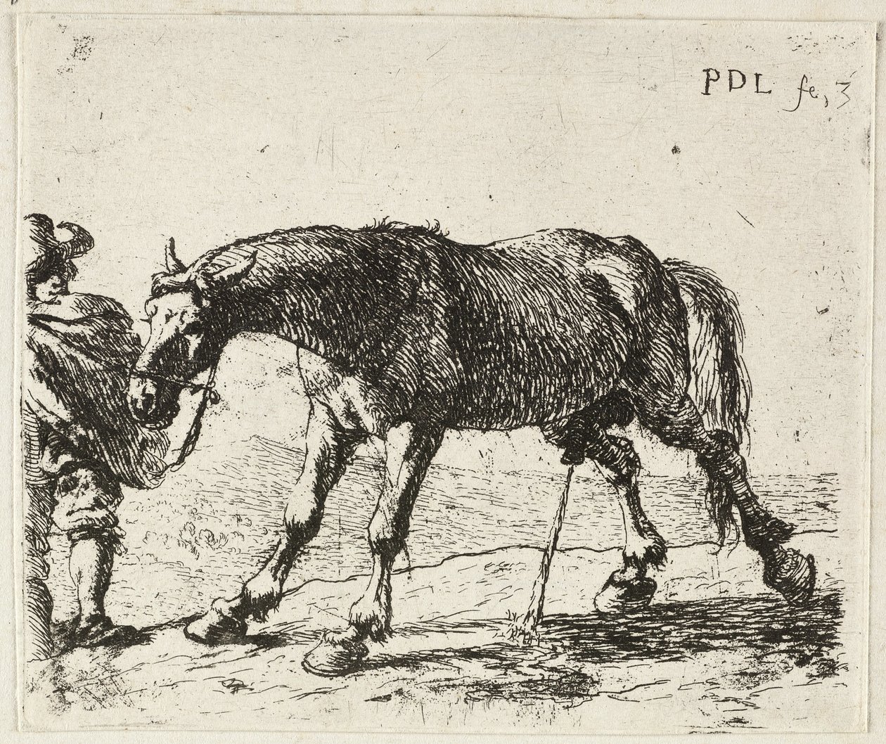 Kissande häst av Pieter van Laer
