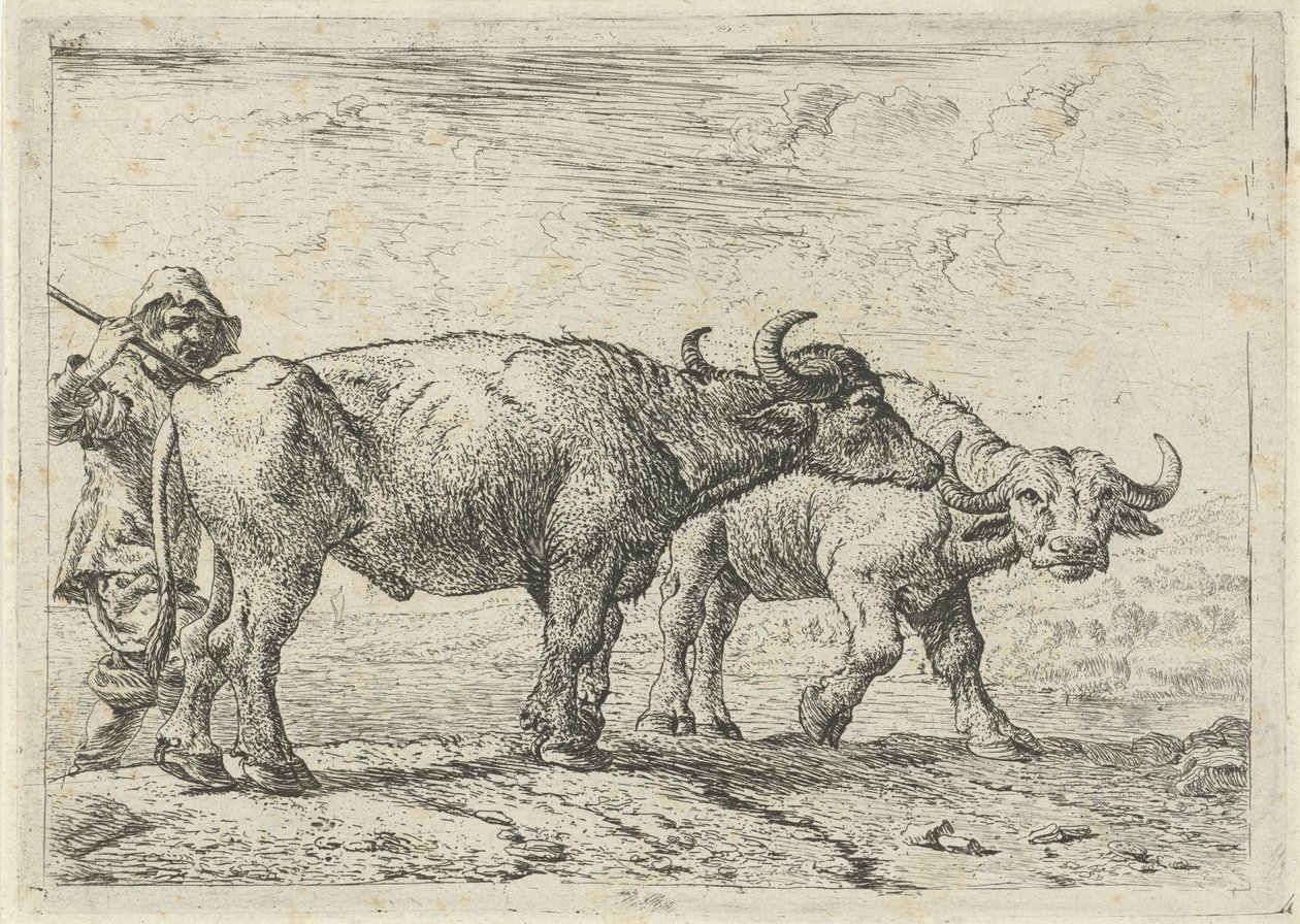 Två bufflar och en boskapsskötare av Pieter van Laer