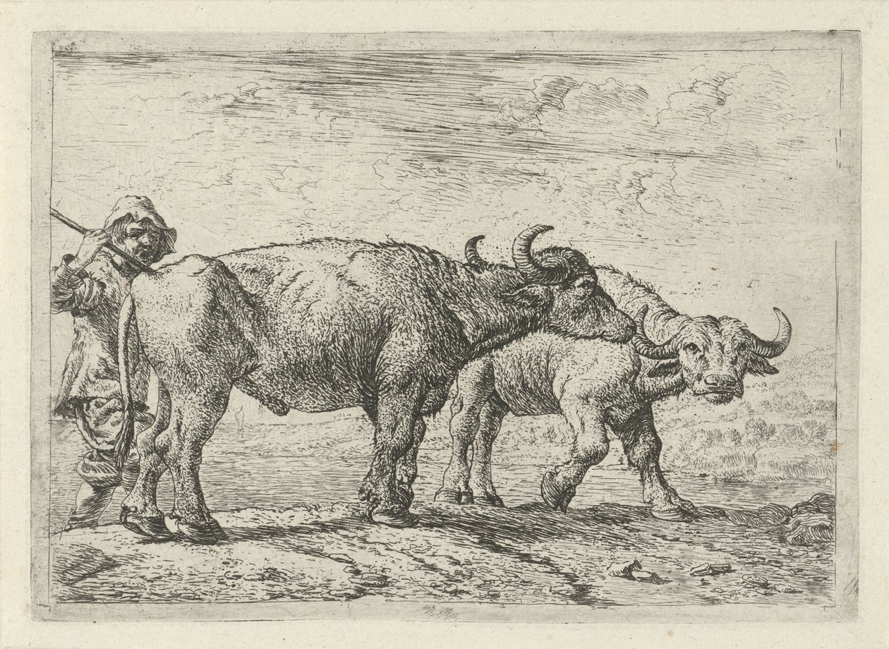 Två bufflar och en boskapsskötare av Pieter van Laer