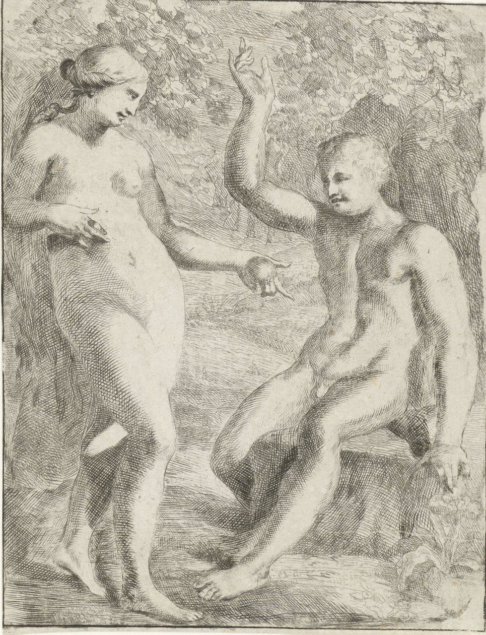 Fallet av Pieter van der Plas (II)