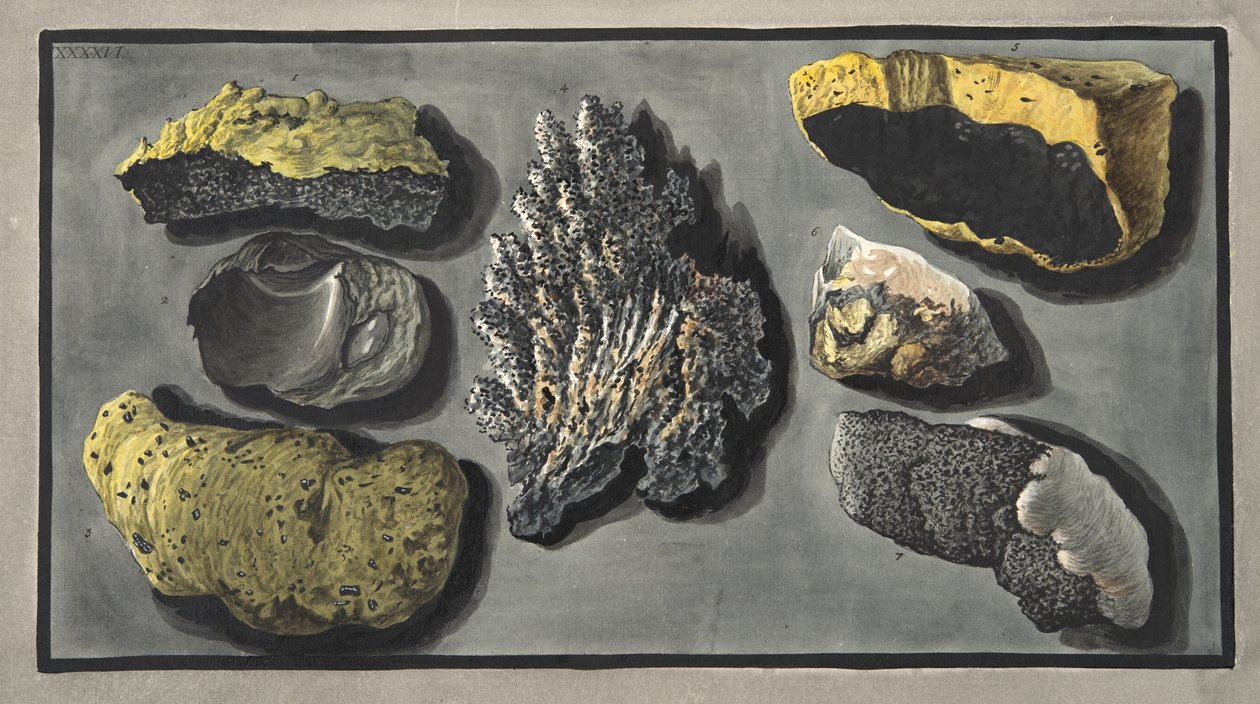 Exemplar av vulkaniskt material som hittades i Vesuvius krater, Platta XXXXVI, från 