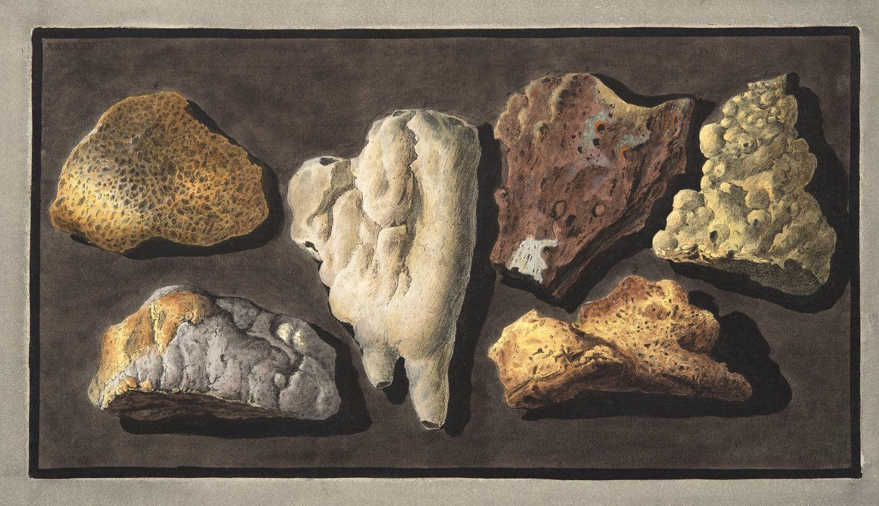 Prover av vulkaniskt material tagna från insidan av Vesuvius krater, Platta XXXXIV, från 