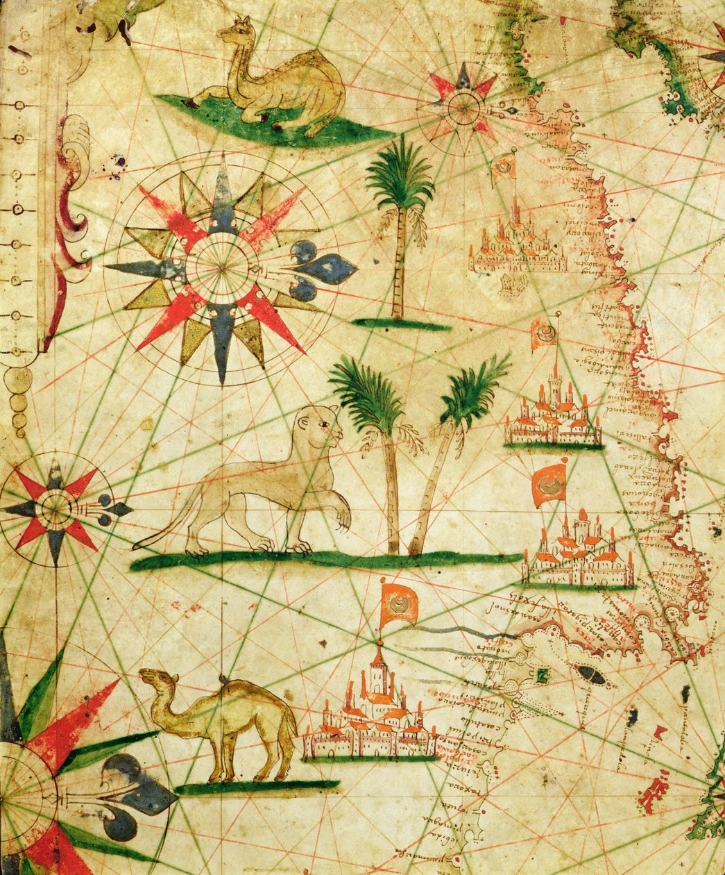 Afrikas nordkyst, fra et nautisk atlas, 1651 (blæk på vellum) (detalje fra 330922) swed av Pietro Giovanni Prunes