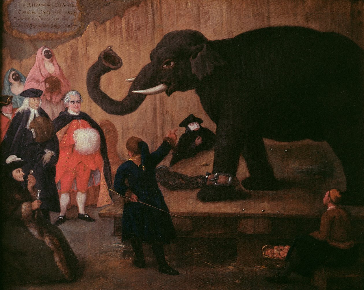 En elefant visas i Venedig av Pietro Longhi