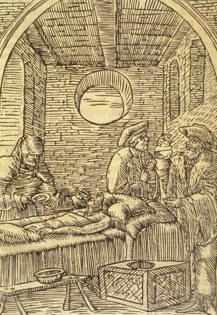 Administrering av medicinska örter, 1534 av Polish School