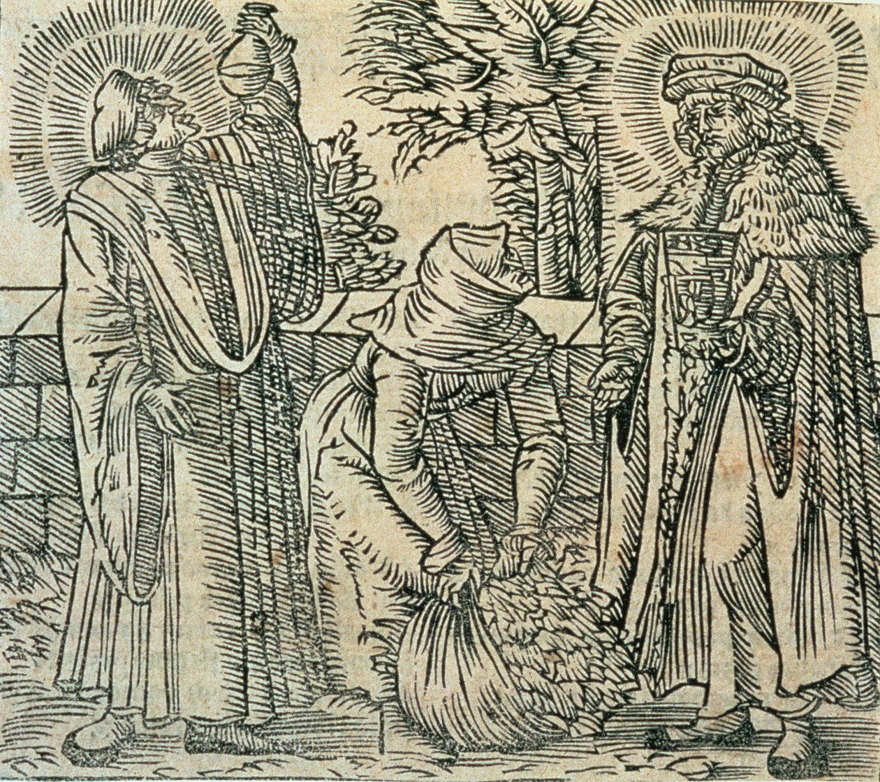 Samla örter för medicin, 1534 av Polish School