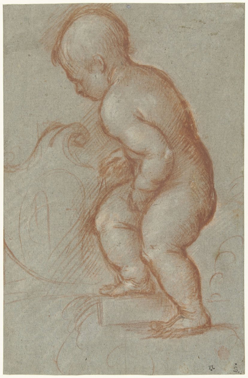 Putto med en vapensköld av Pordenone (attributed to)