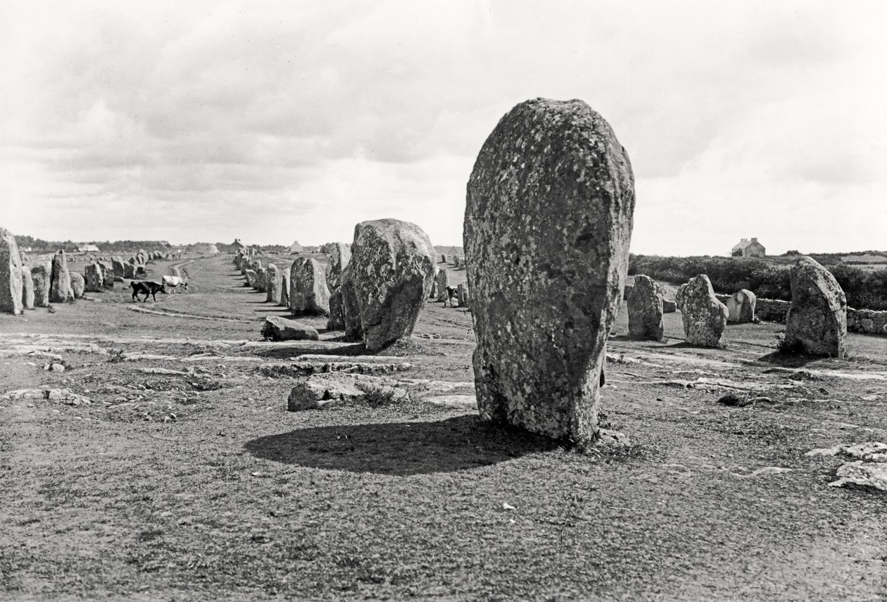 Uppriktning av stående stenar, megalit, 4:e-3:e årtusendet f.Kr. av Prehistoric