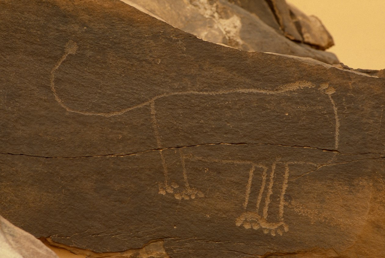 Djur (stenhuggeri) av Prehistoric