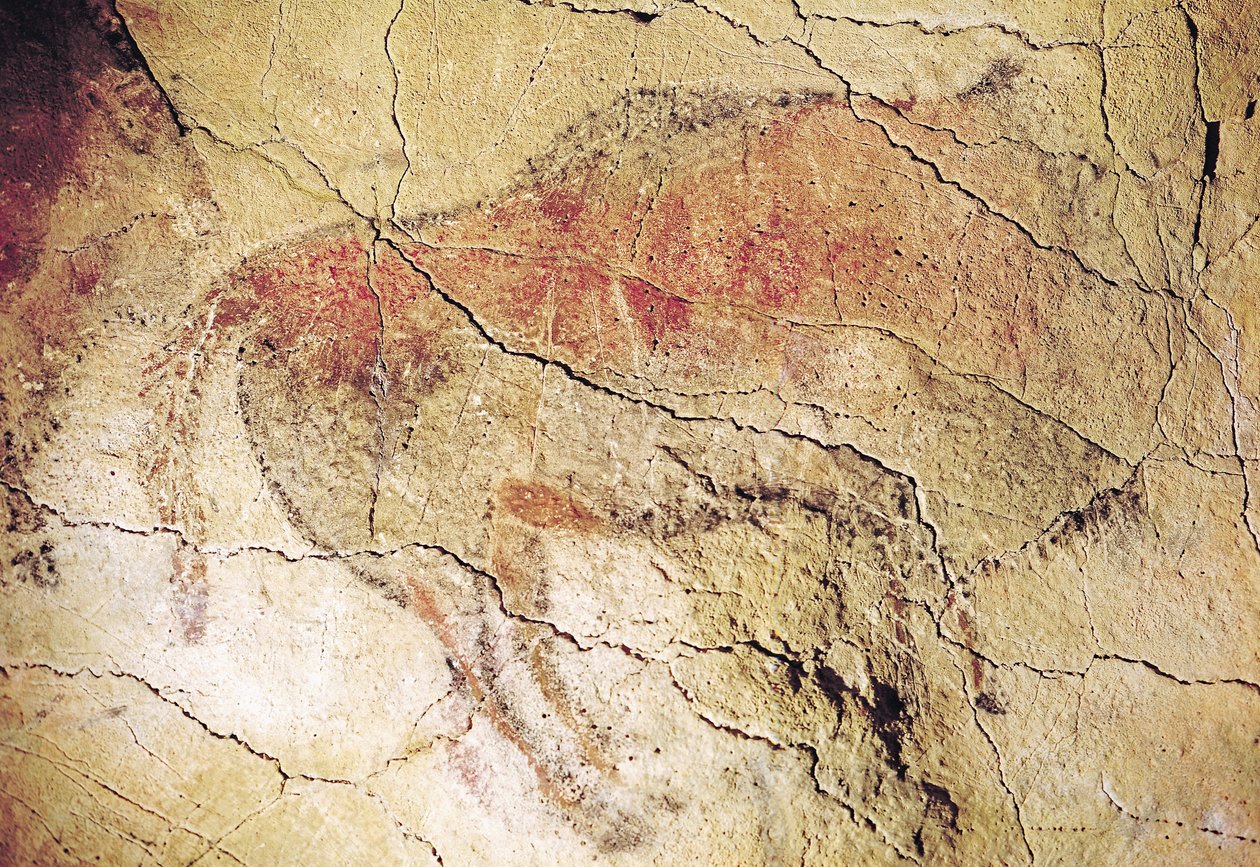 Nyati kutoka mapangoni huko Altamira, c.15000 KK (mchoro wa pango) alipigwa av Prehistoric