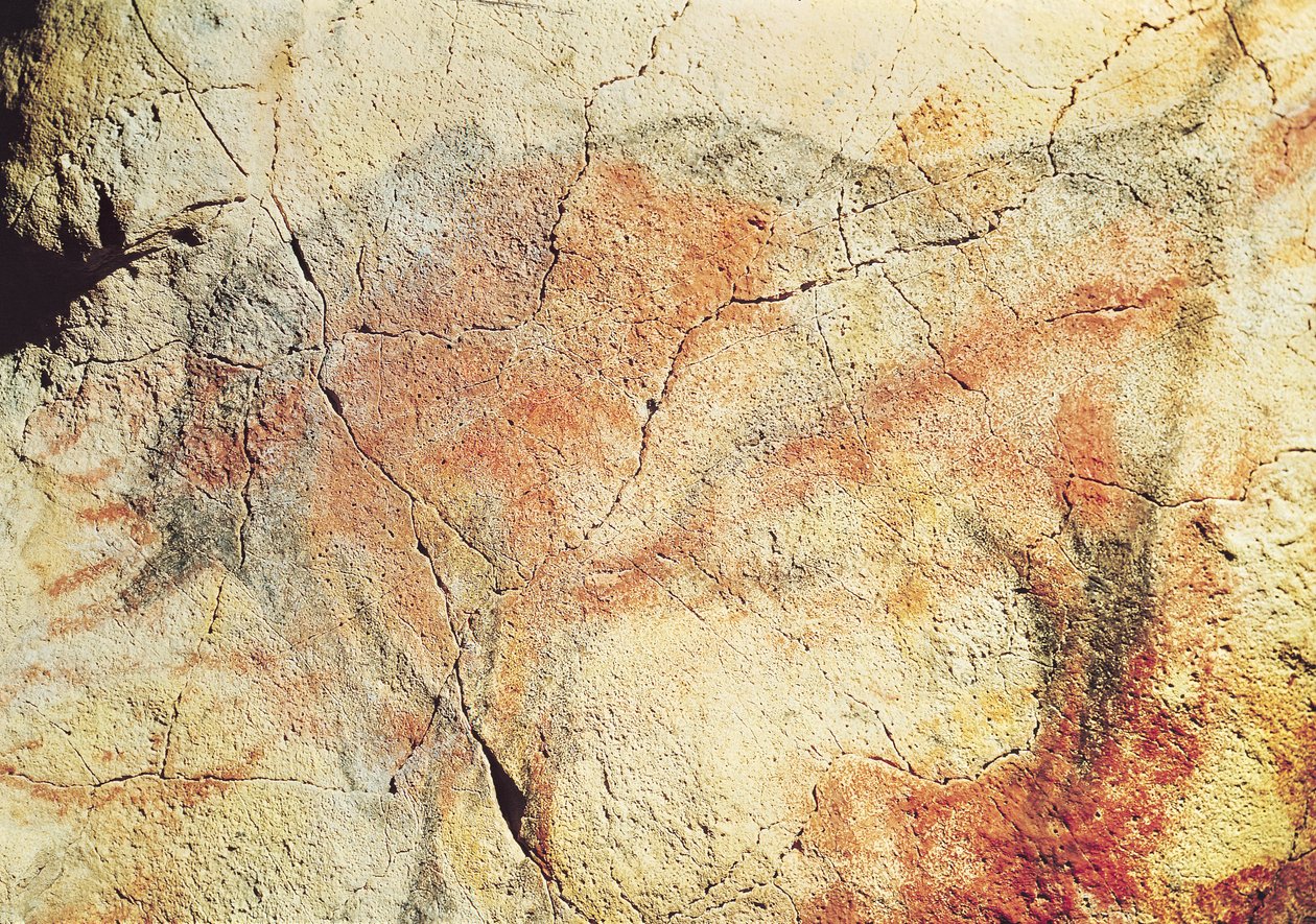Bison, från grottorna i Altamira, c.15000 f.Kr. (grottmålning) av Prehistoric