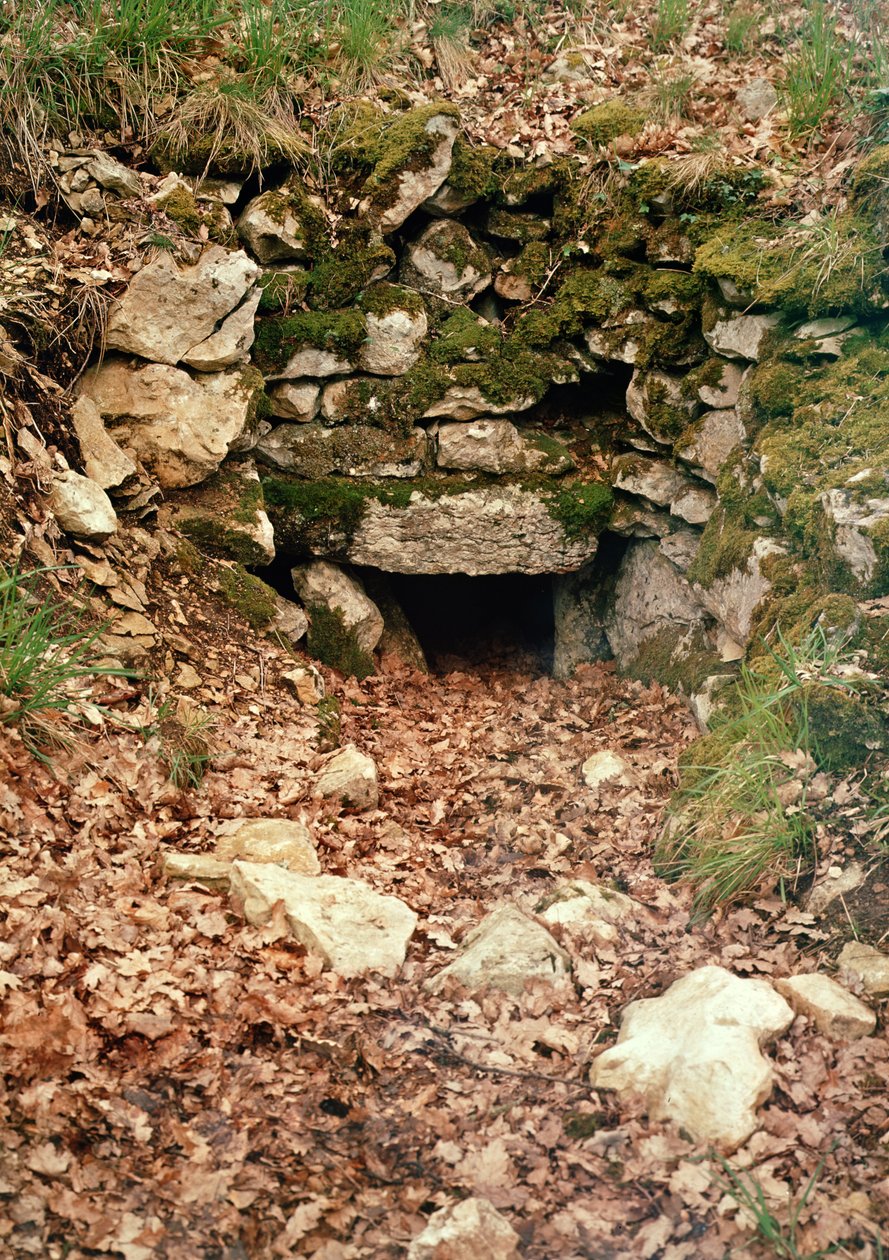Täckt ingång till en tumulus av Prehistoric
