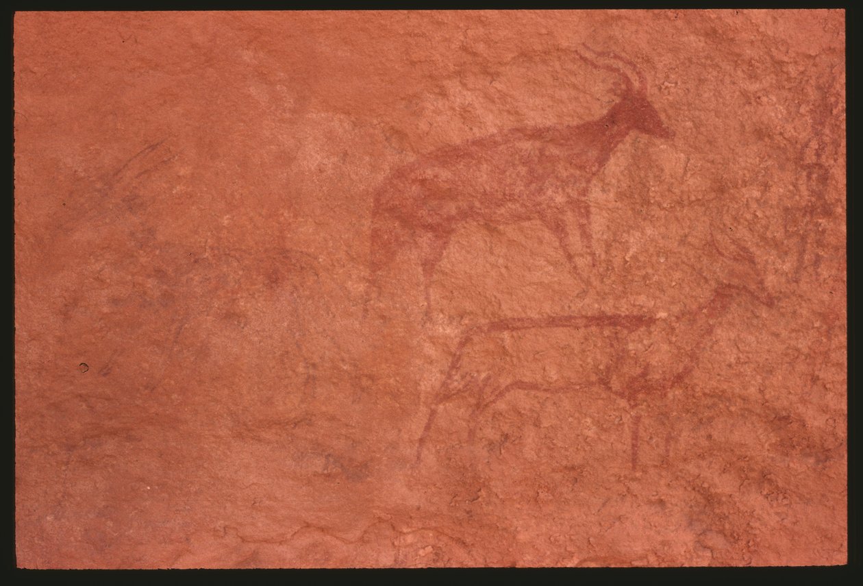 Kor (hällmålning) av Prehistoric