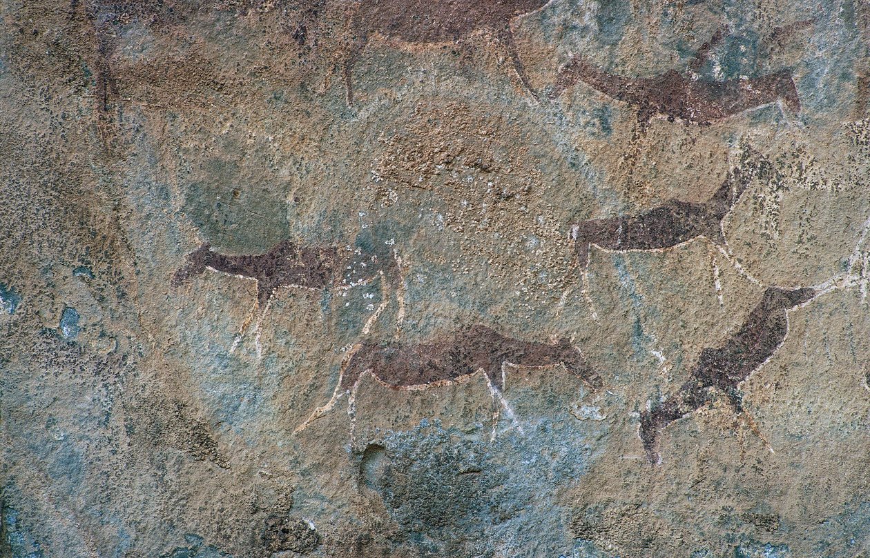 Djurfigurer (grottmålning) av Prehistoric Prehistoric