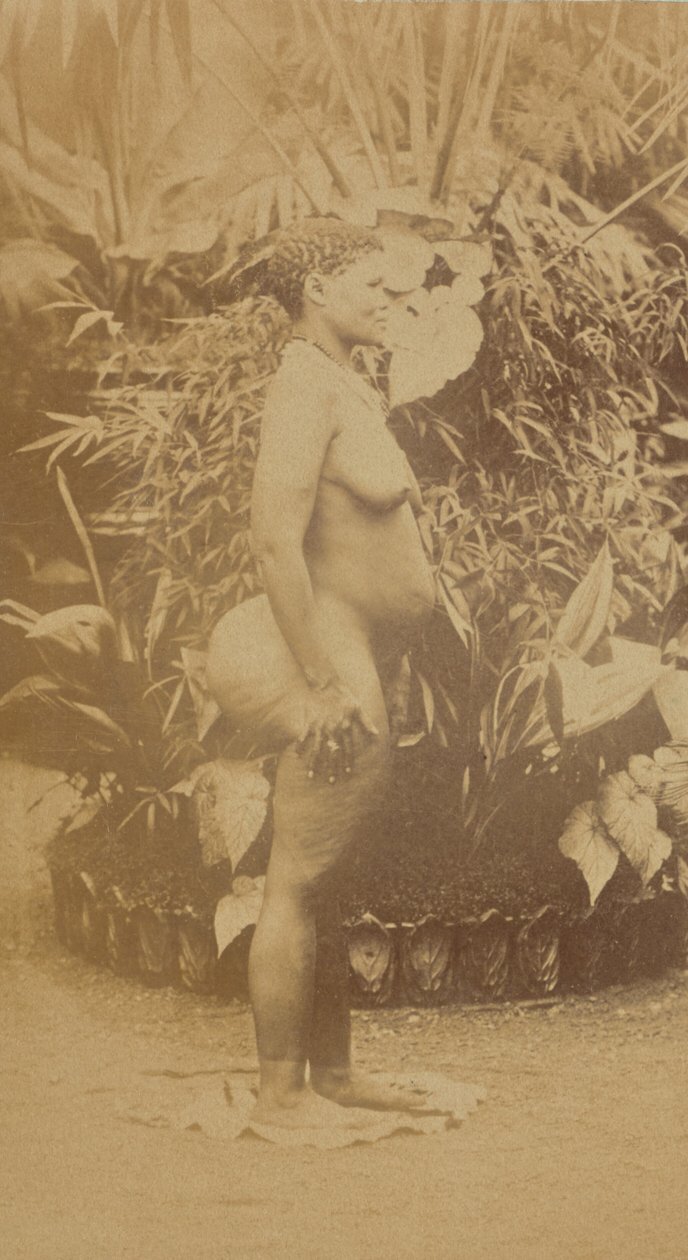 [Sydafrikansk kvinna, naken] av Prince Roland Napoleon Bonaparte
