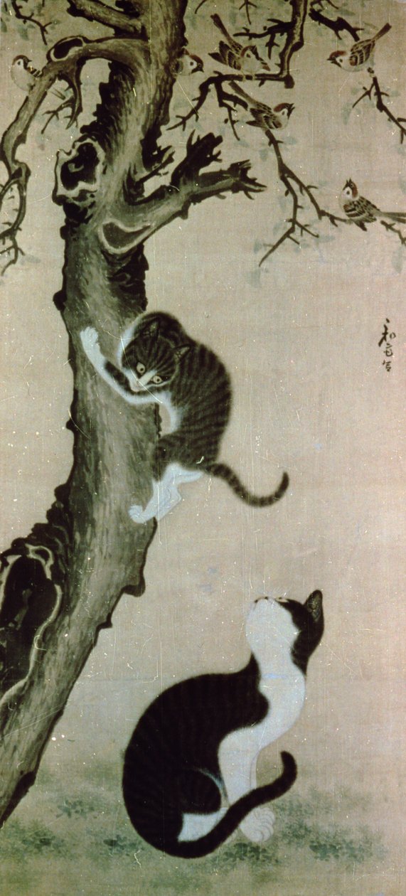 Katter, 1600-talet (bläck på siden) av Pyon Sang Byok