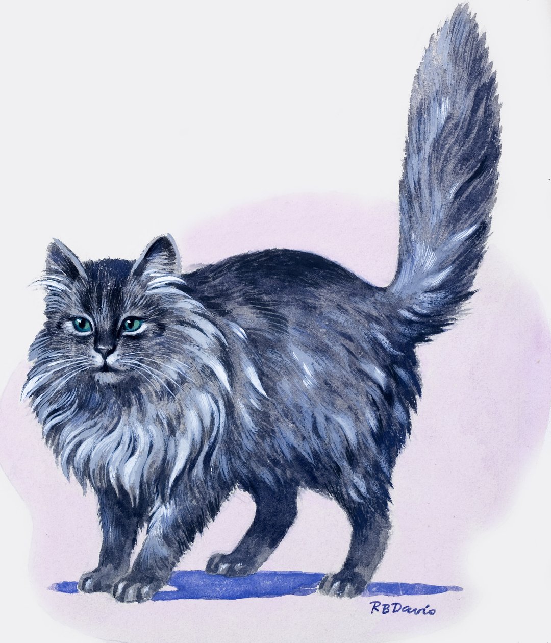 Perserkatt, från "Treasure av R.B. Davis