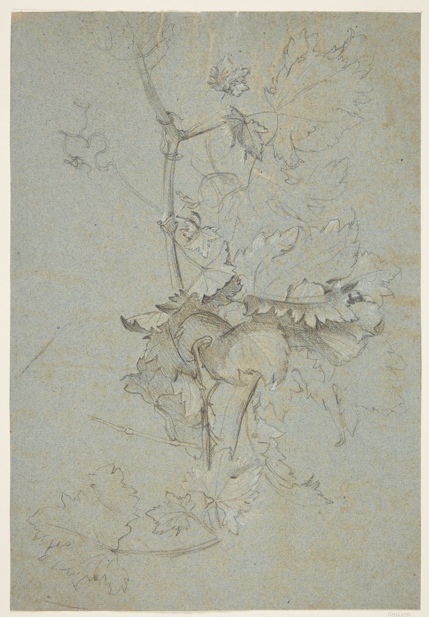 Växtstudie av Rachel Ruysch