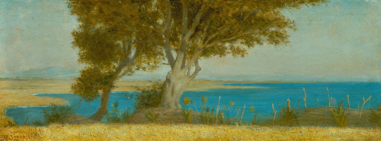 Marina di Castiglioncello av Raffaello Sernesi