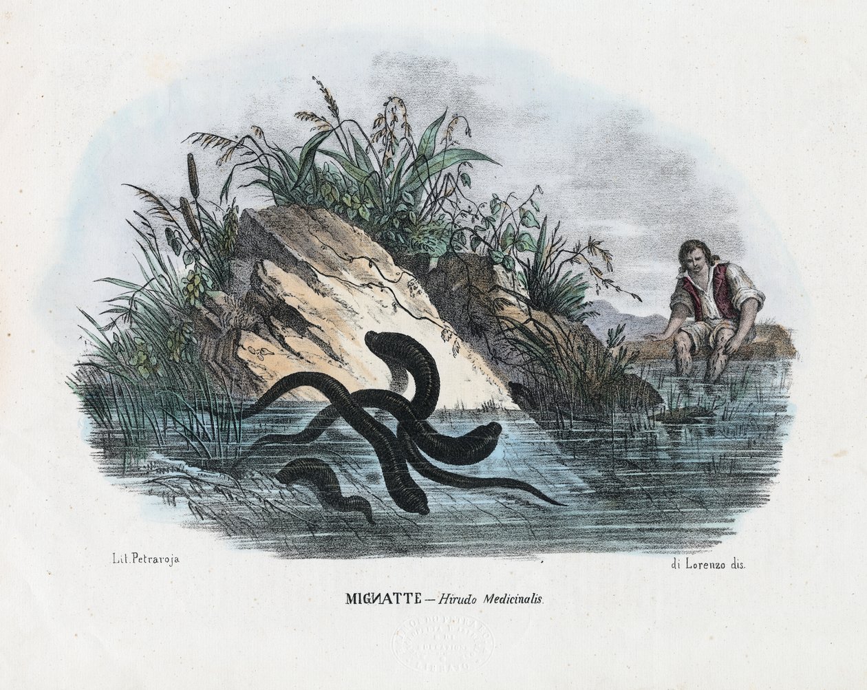 Iglar, 1863-79 av Raimundo Petraroja