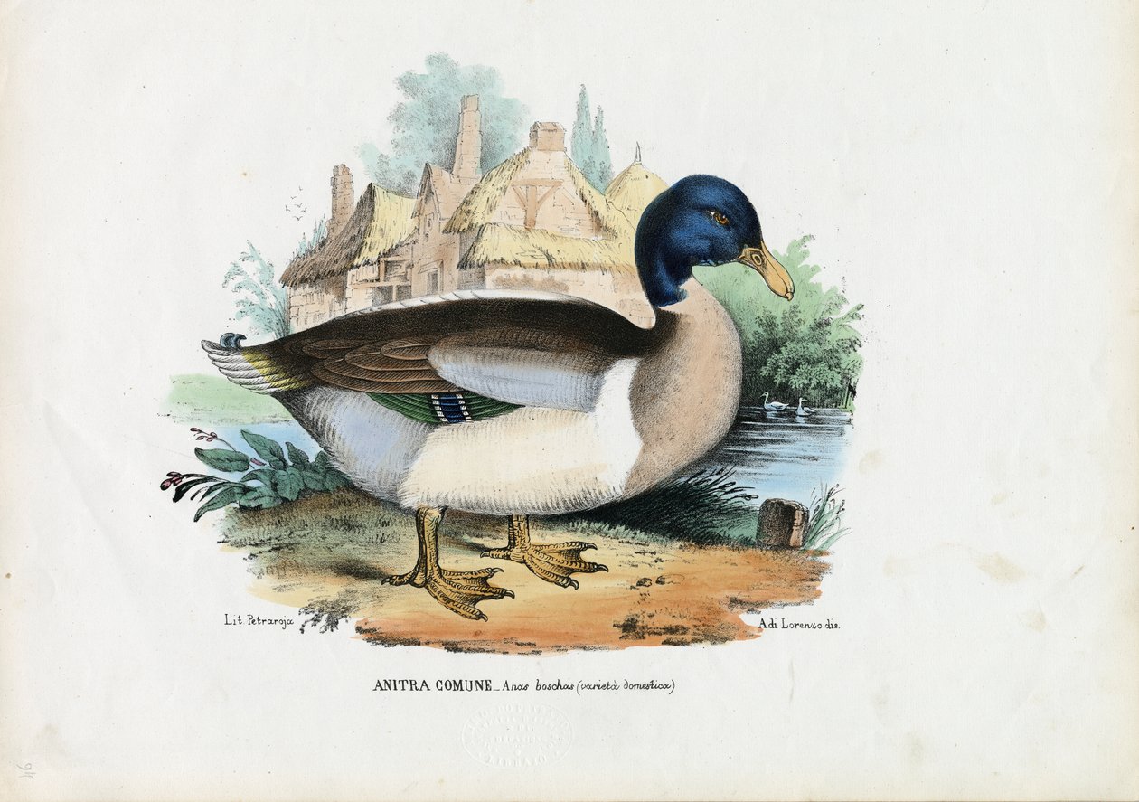 Gräsand, 1863-79 av Raimundo Petraroja