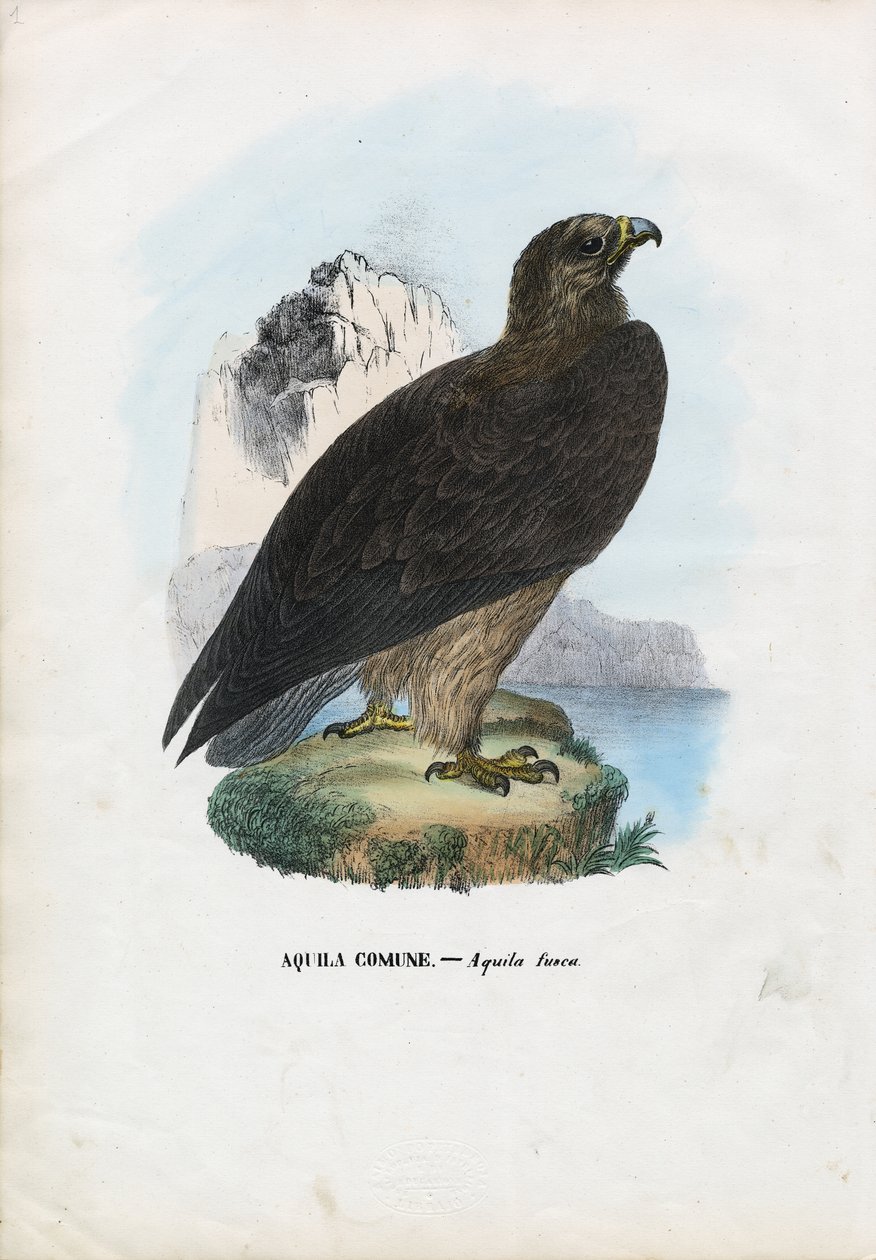 Örn, 1863-79 av Raimundo Petraroja