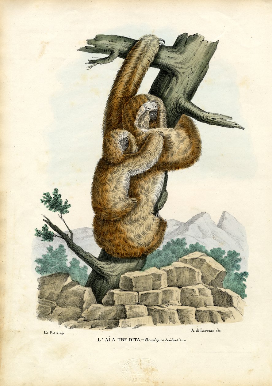 Tre-tåig sengångare, 1863-79 av Raimundo Petraroja