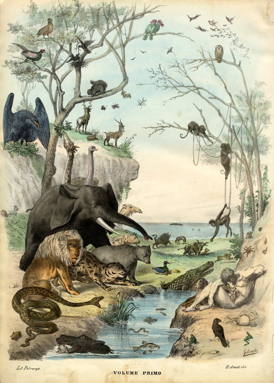 Titelsida, 1863-79 av Raimundo Petraroja