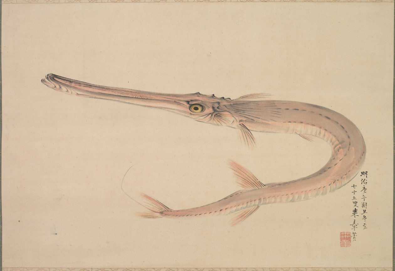 Nålfisk levde, 1870. av Raisho Nakajima