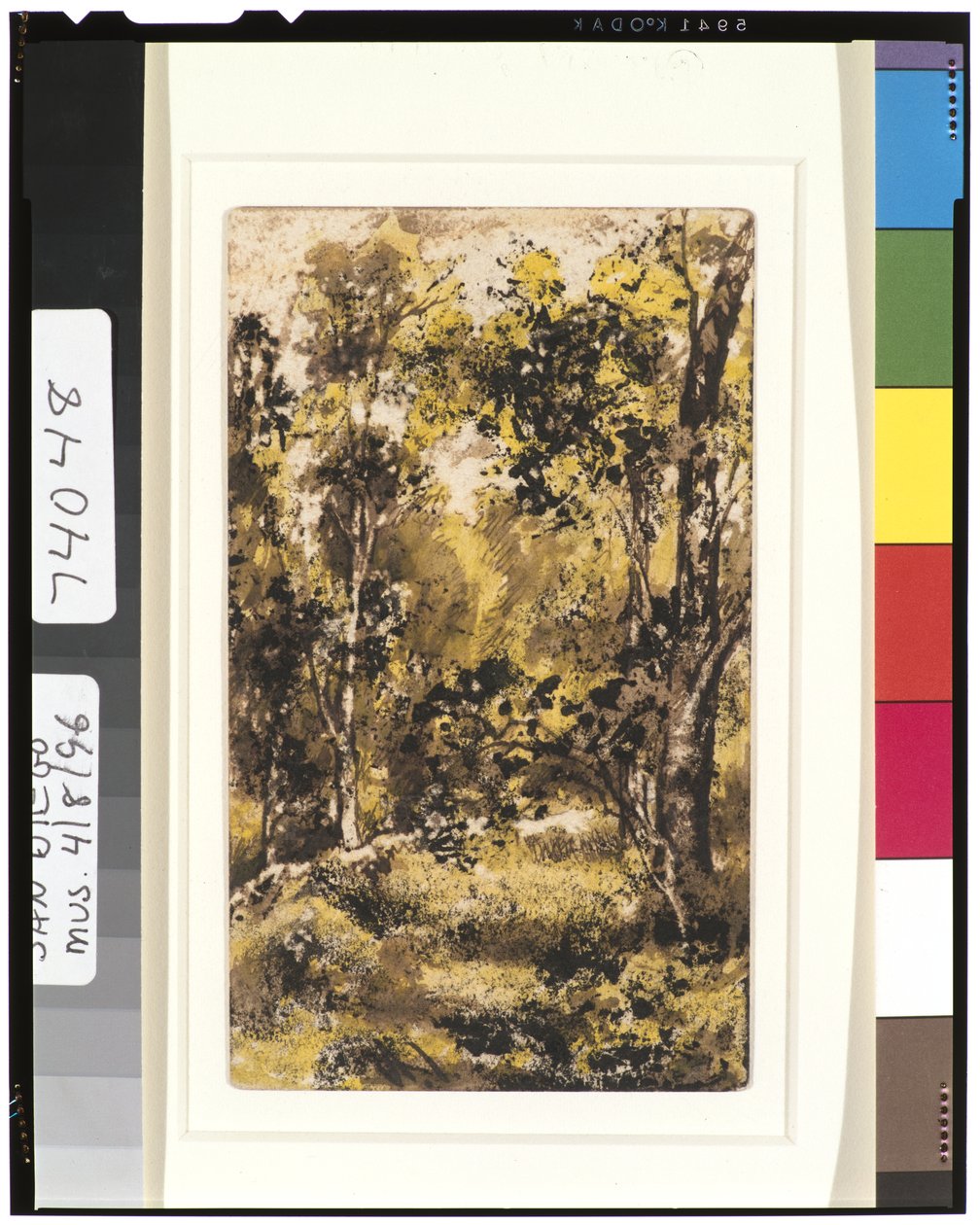 Skogsscen, 1901-15 av Ralph Albert Blakelock