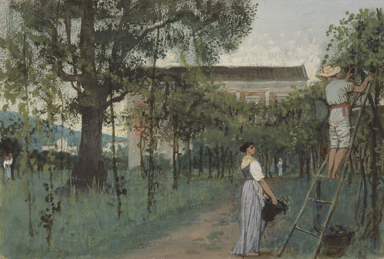 Druvplockning av Randolph Caldecott