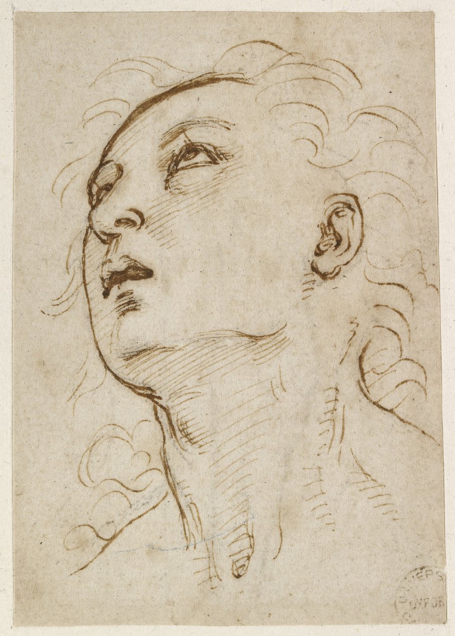 Recto: Chef för en ung man som stirrar uppåt, WA1846.156 av Raffaello Sanzio Raphael