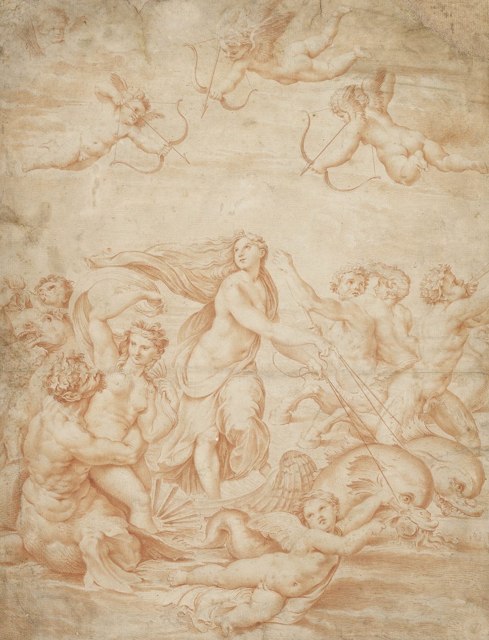 Galateas triumf (röd krita på blekt buffpapper) av Raffaello Sanzio Raphael