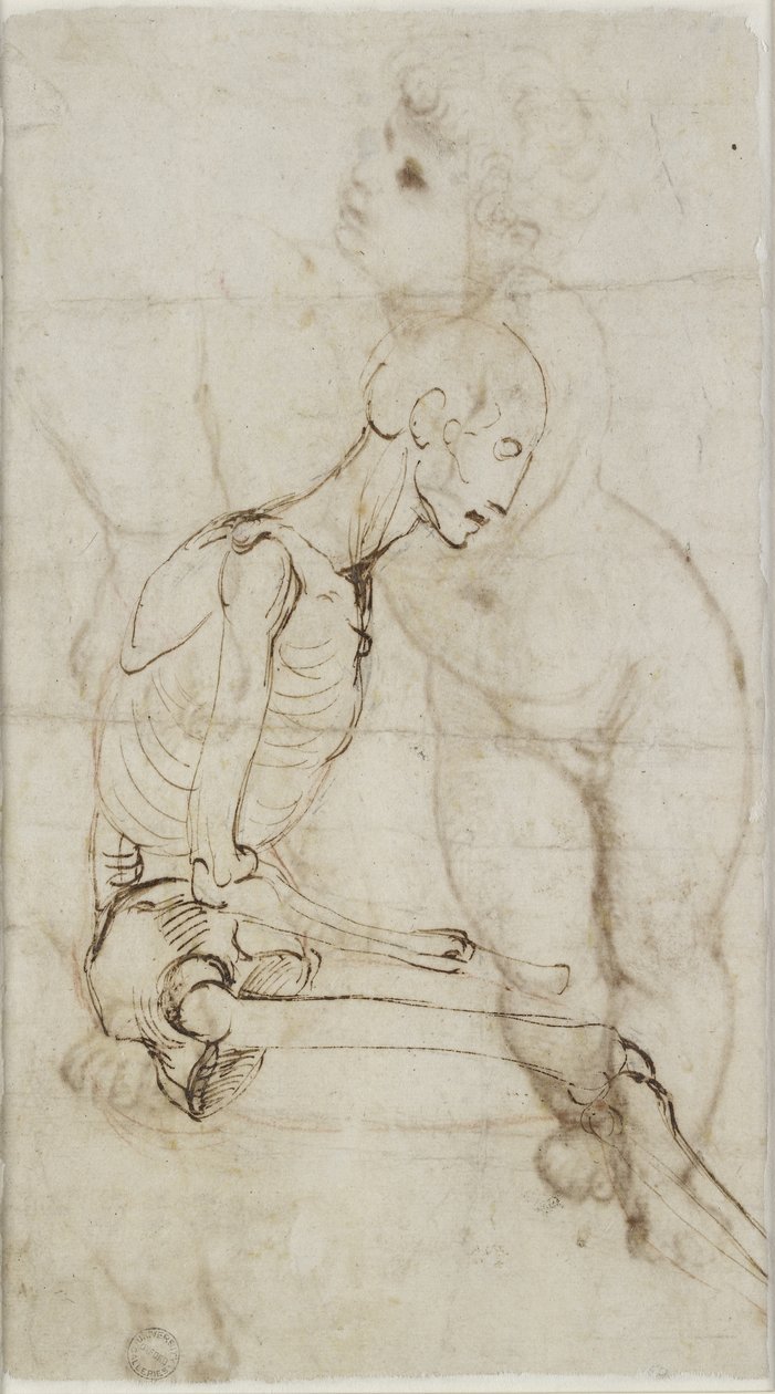 Verso: Study of a Skeleton, WA1855.91 av Raffaello Sanzio Raphael