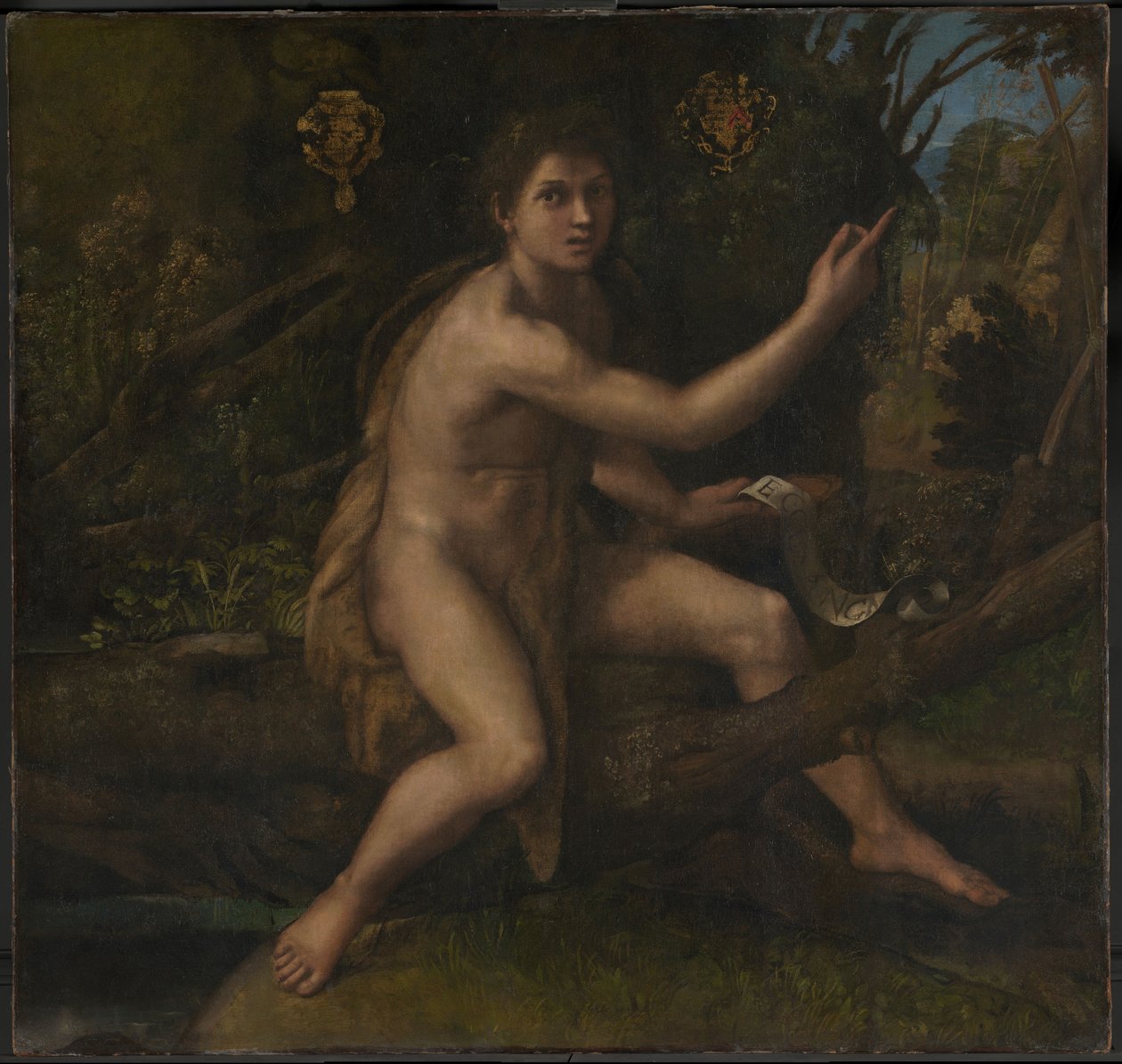 Sankt Johannes Döparen av Raphael (1483 1520)