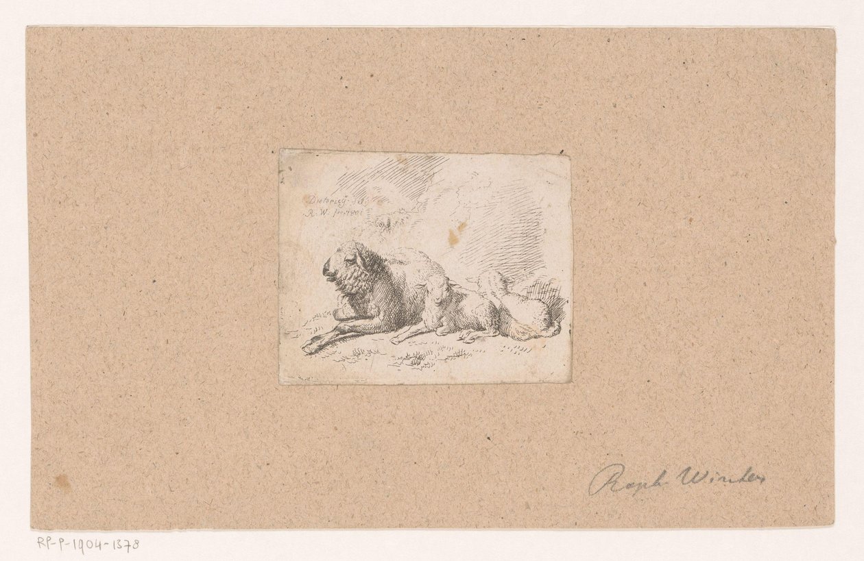 Liggande får med två lamm av Raphael Winter