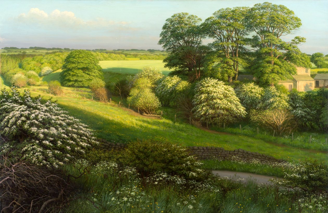 Landskap av Raymond Booth
