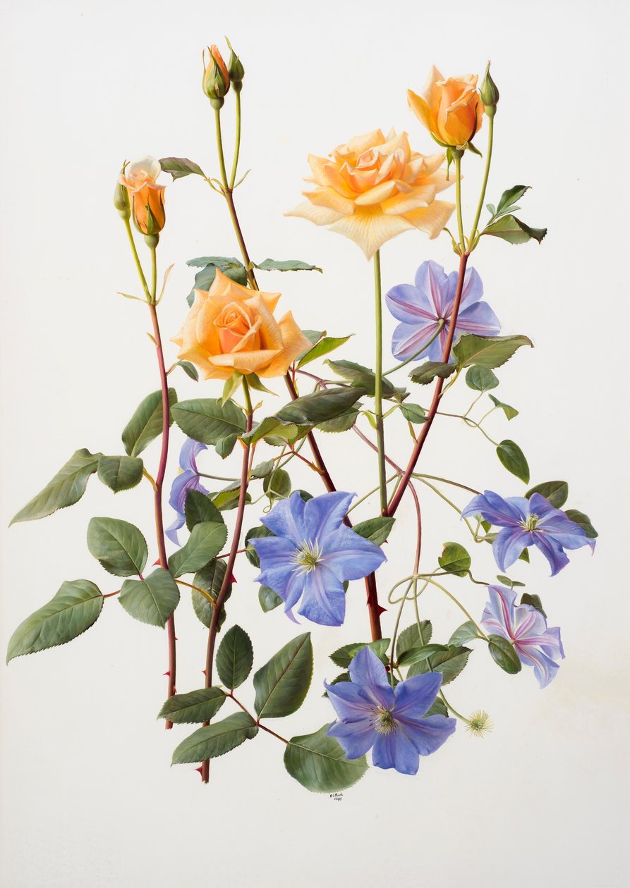 Ros och clematis av Raymond Booth