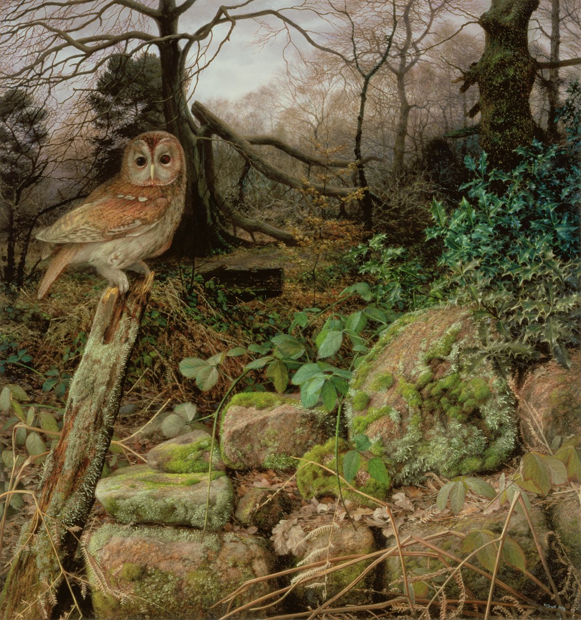Den vilda skogen - en vinterkväll av Raymond Booth