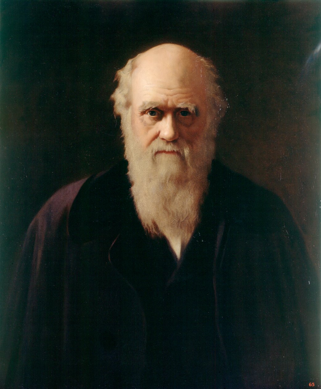Charles Darwin (olja ombord) av Reilly Reilly