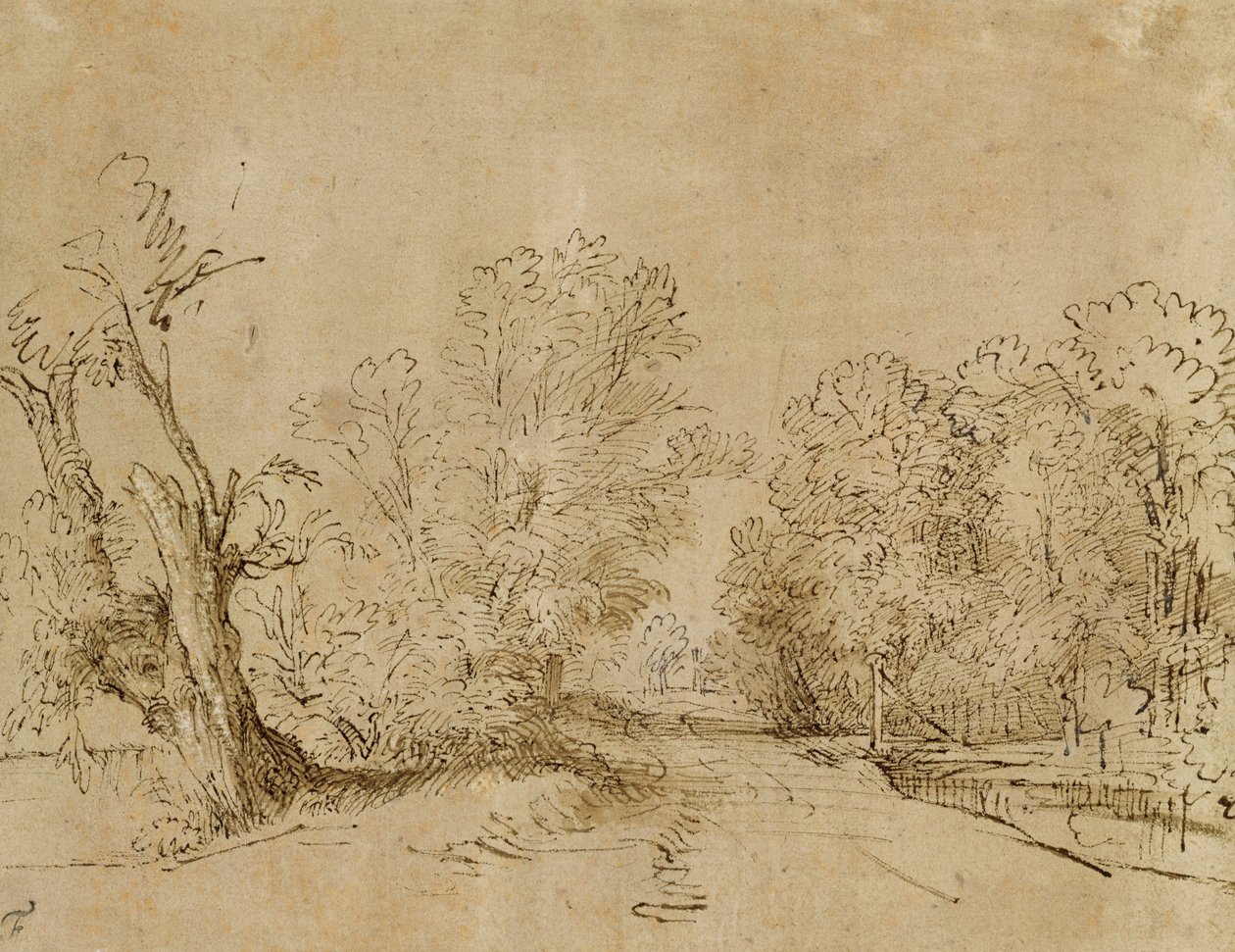 En skogsbevuxen väg av Rembrandt van Rijn